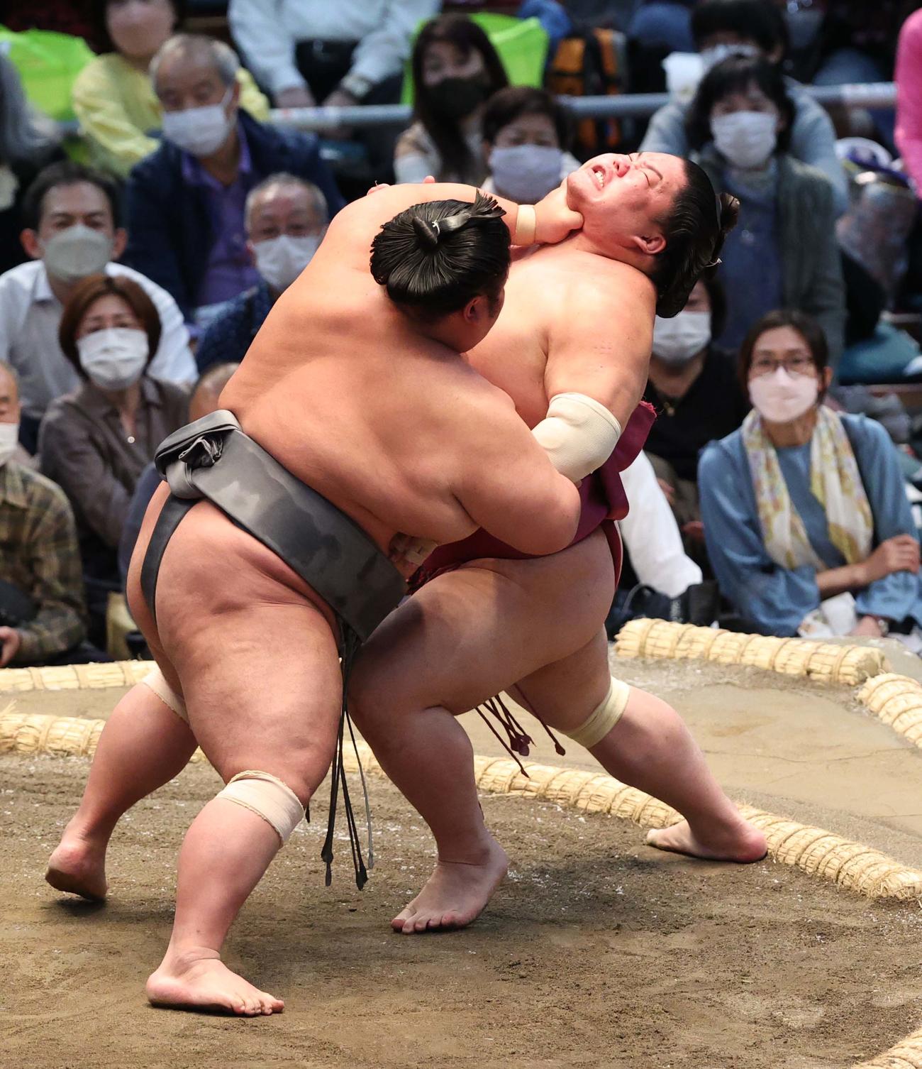 貴景勝（左）は押し出しで大栄翔を破る（撮影・上田博志）