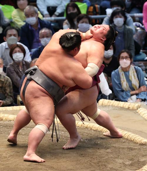 貴景勝（左）は押し出しで大栄翔を破る（撮影・上田博志）
