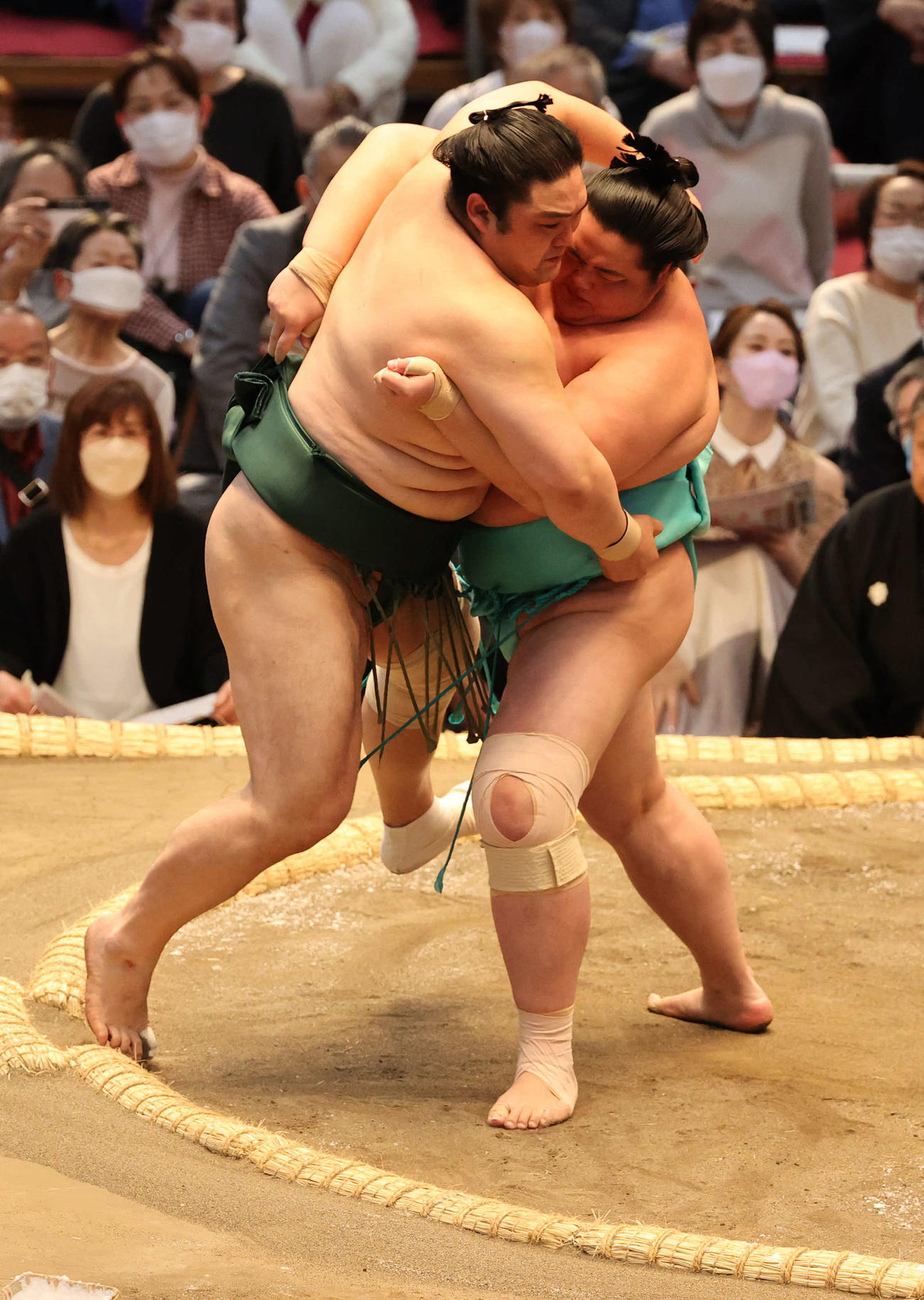 隠岐の海をよりきる琴の若（撮影・渦原淳）