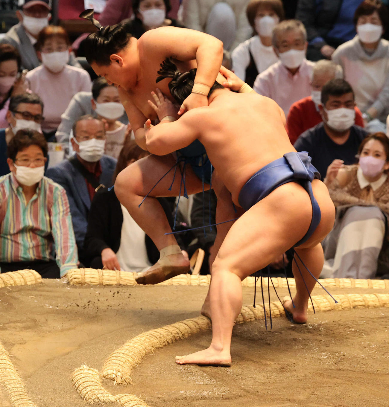 若隆景が豊昇龍をよりきる（撮影・渦原淳）