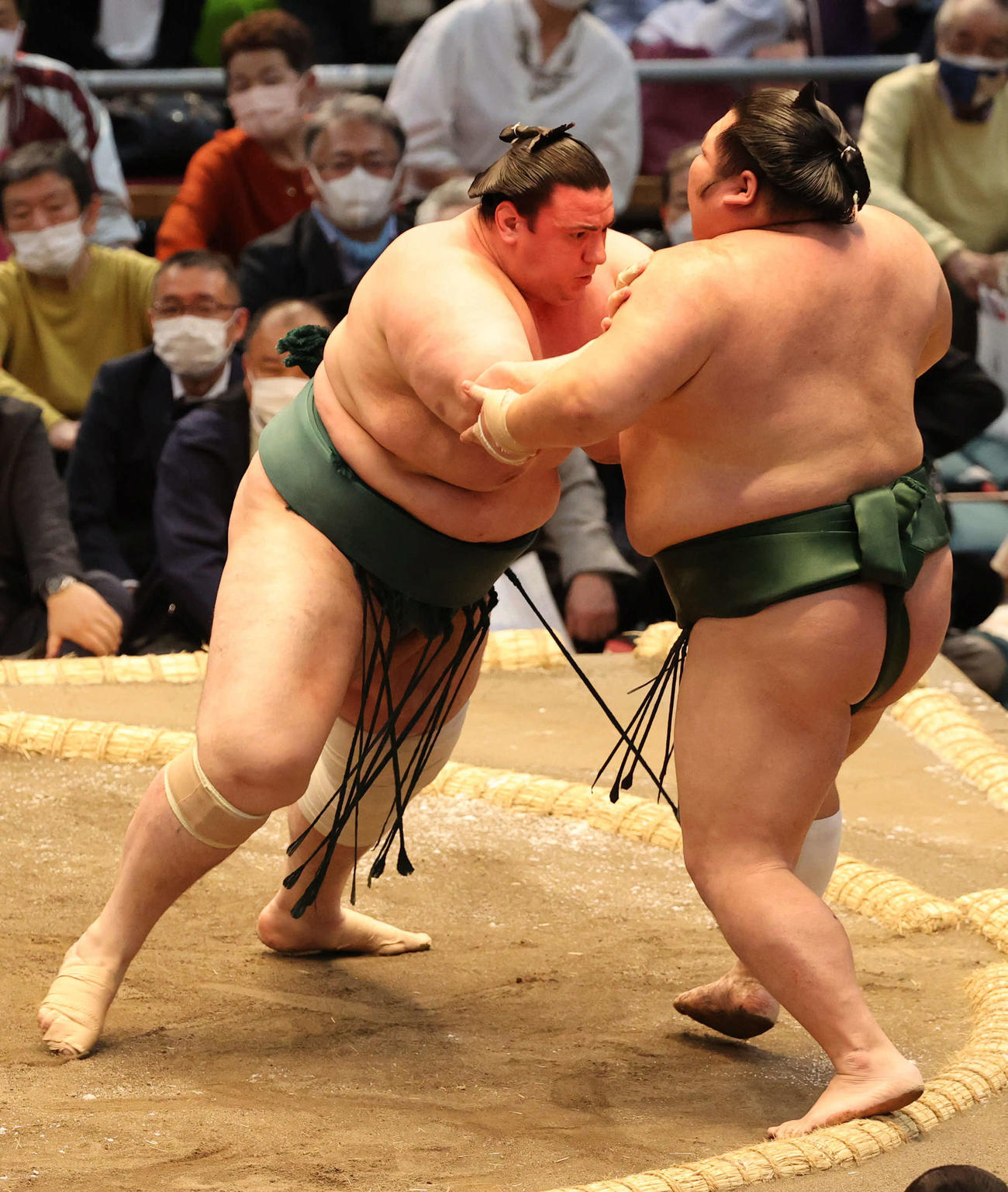 千代大龍を押し出す碧山（撮影・渦原淳）