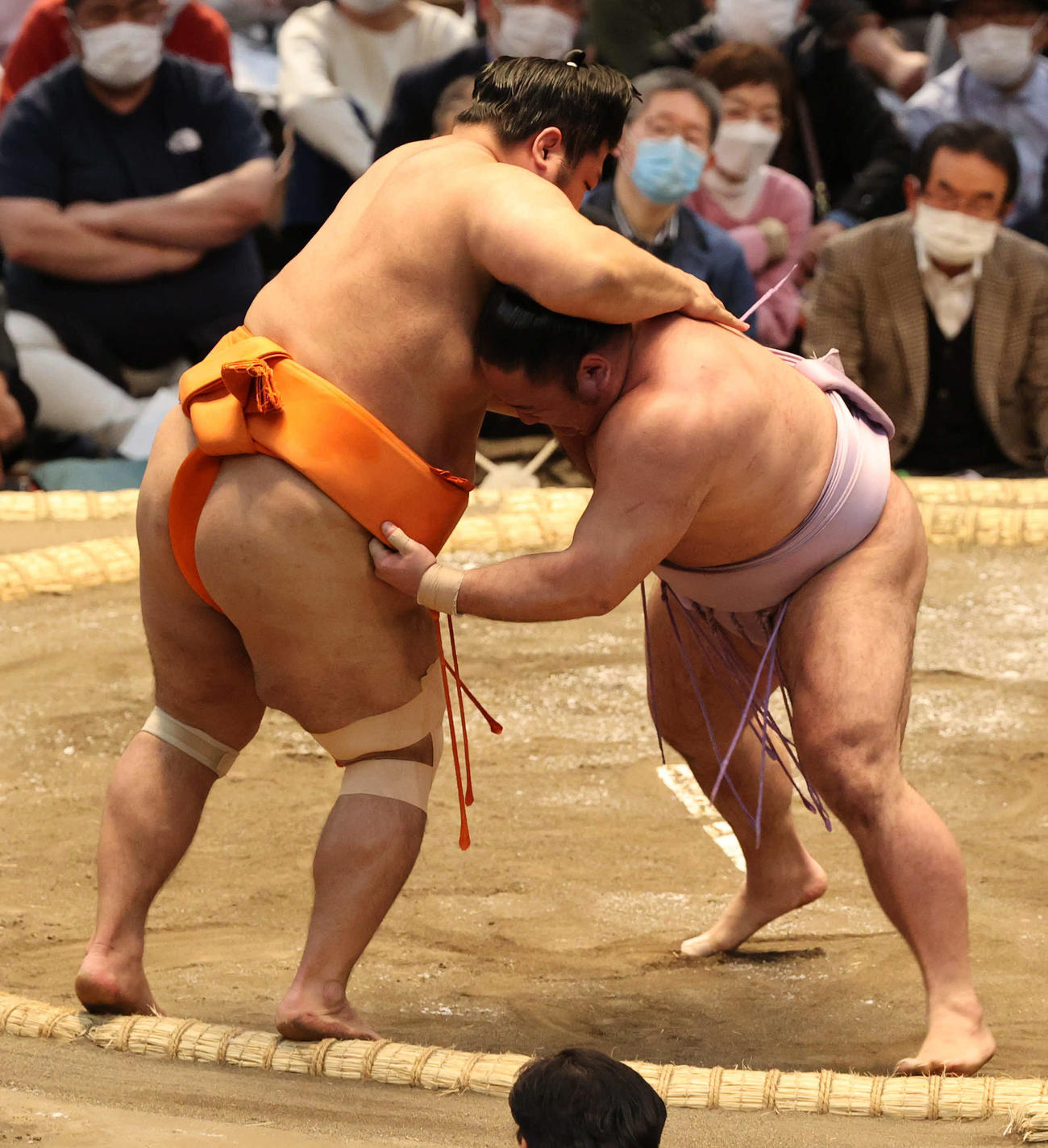 志摩ノ海を寄り切る琴恵光（撮影・渦原淳）
