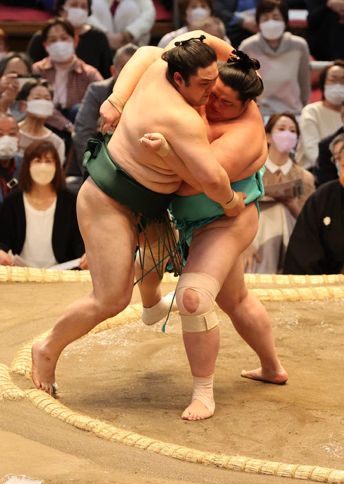 隠岐の海をよりきる琴の若（撮影・渦原淳）