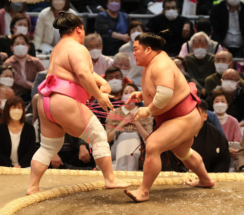 大栄翔が宇良を下す（撮影・渦原淳）