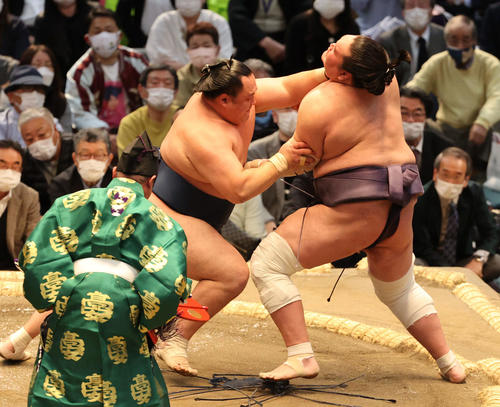 照ノ富士が玉鷲に敗れる（撮影・渦原淳）