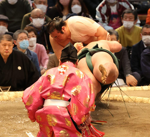 錦木をはたきこむ千代の国（撮影・渦原淳）