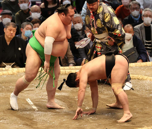 千代丸をはたきこむ照強（撮影・渦原淳）
