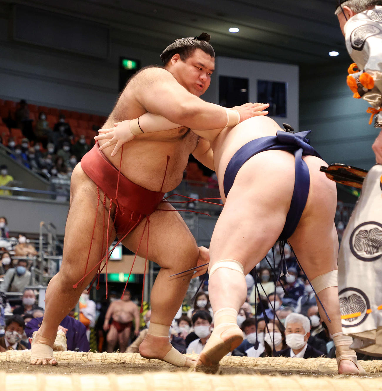 宝富士（右）を突き落としで破る高安（撮影・鈴木正人）