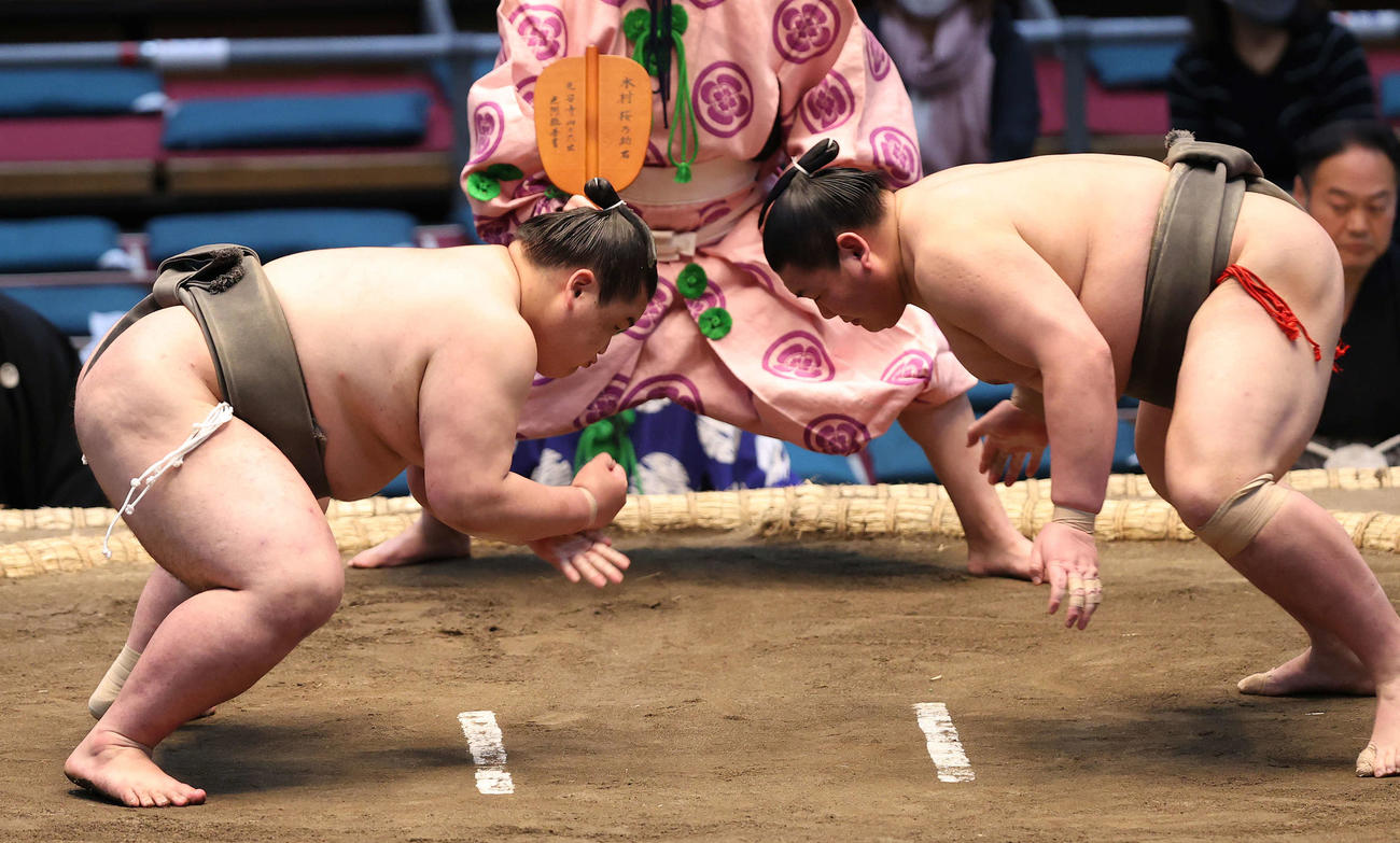 錦国（右）に鋭い立ち合いで攻める新隆山（撮影・鈴木正人）