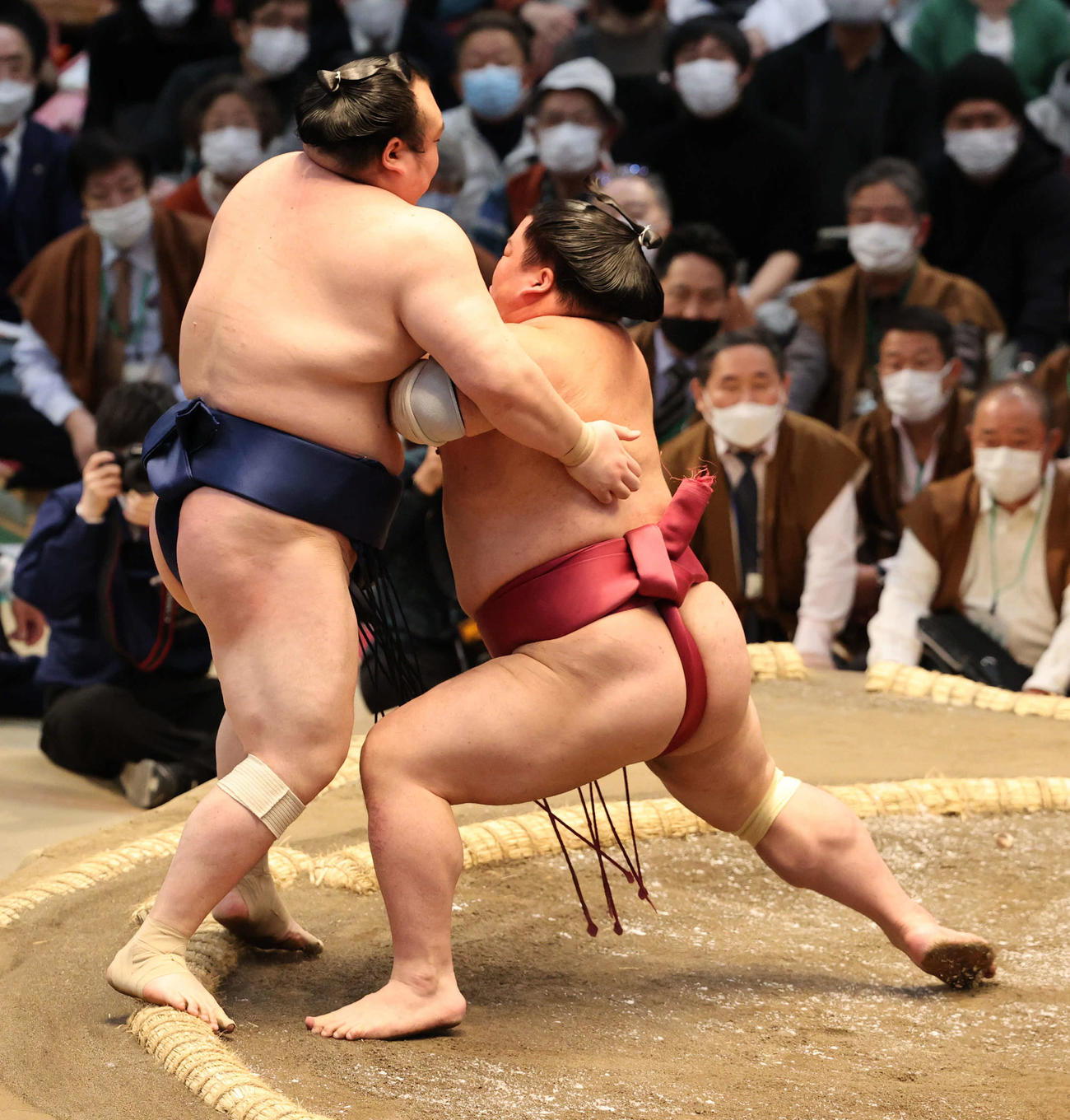 大栄翔（右）が宝富士を押し出す（撮影・渦原淳）