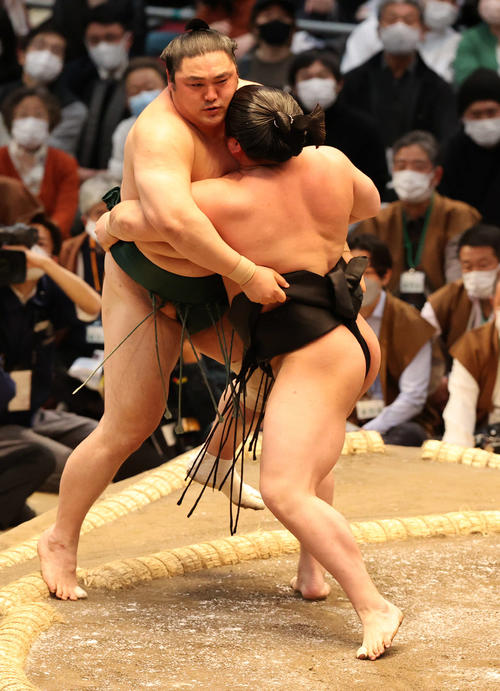 若元春（右）が隠岐の海を寄り切る（撮影・渦原淳）