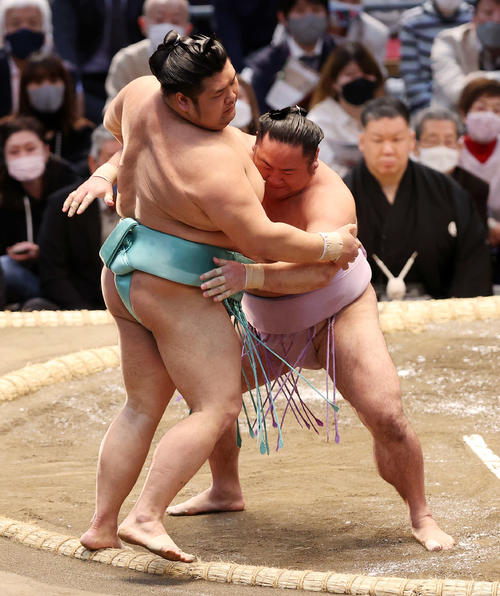 天空海（左）を寄り切りで破る琴恵光（撮影・鈴木正人）