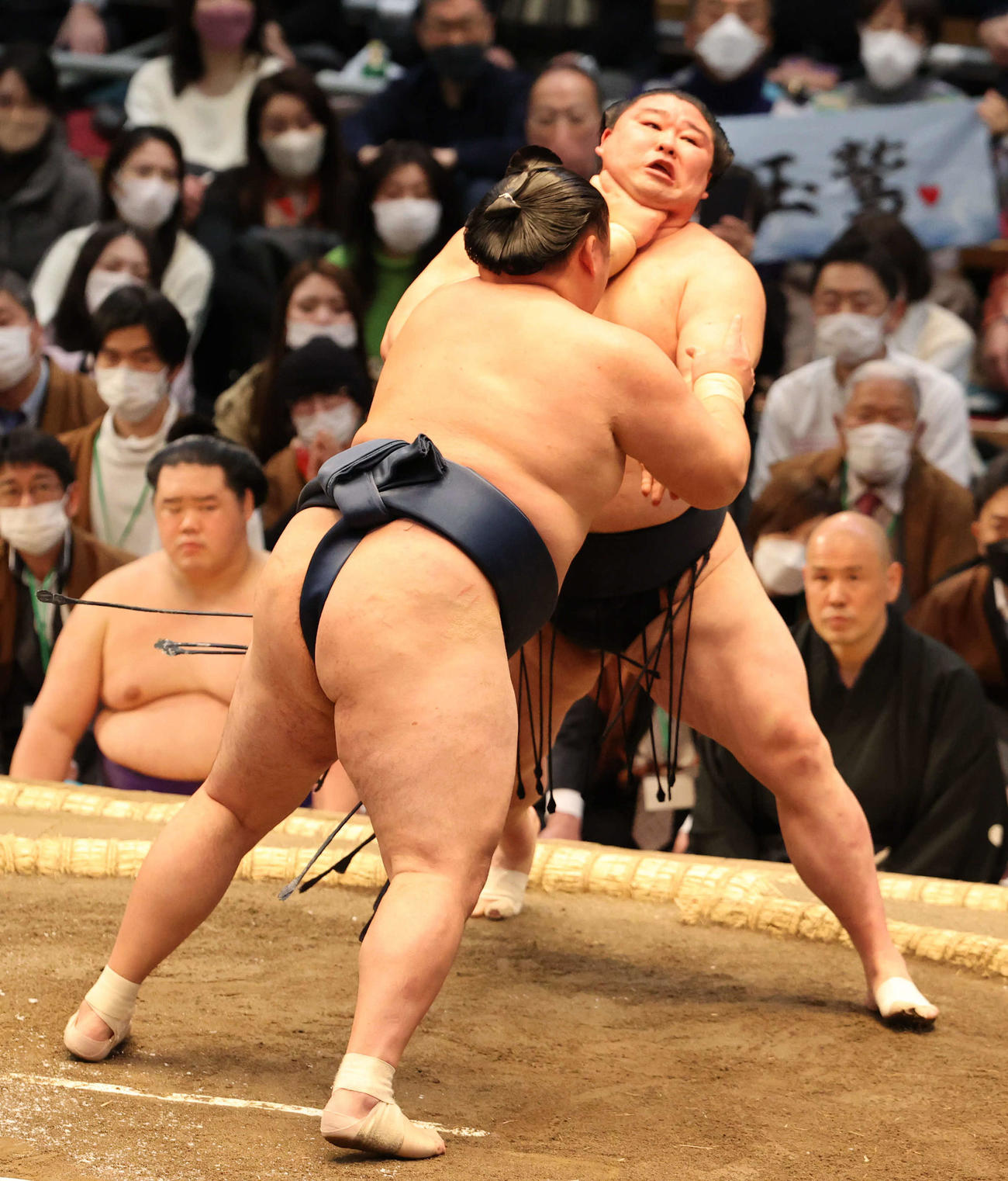 正代（右）を突き出す玉鷲（撮影・渦原淳）