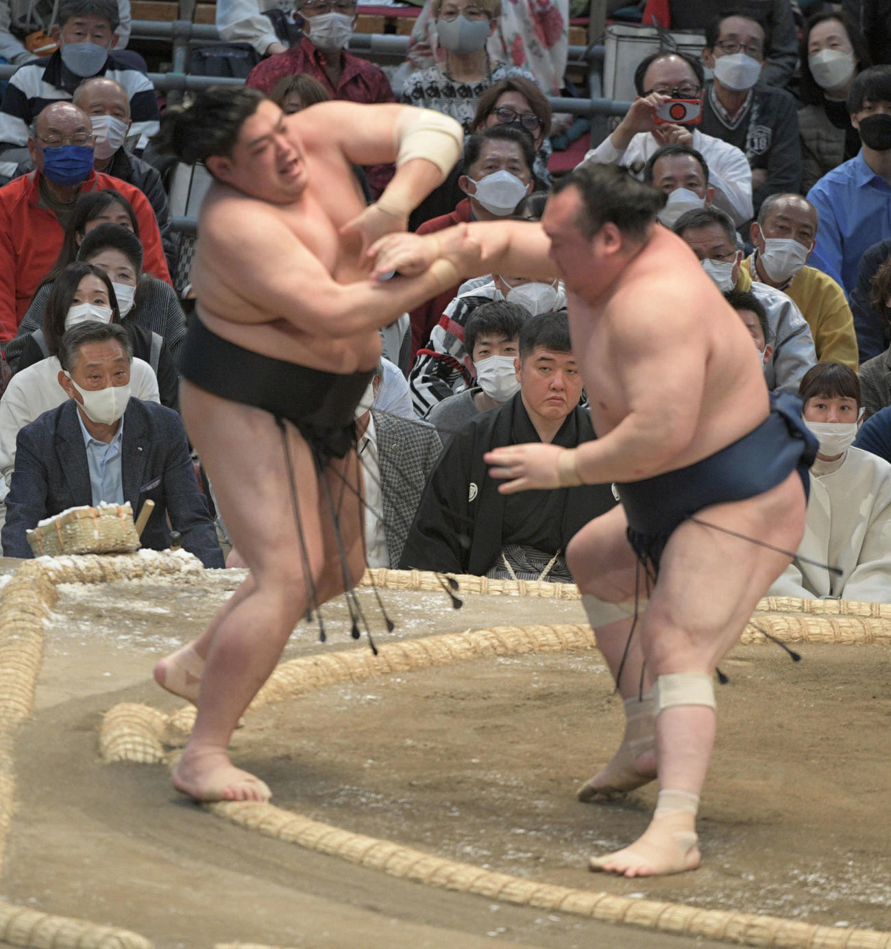 宝富士が阿炎を押し出す（撮影・渦原淳）