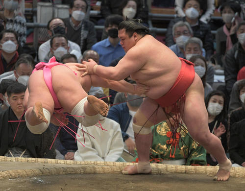 阿武咲が宇良をつきおとす（撮影・渦原淳）