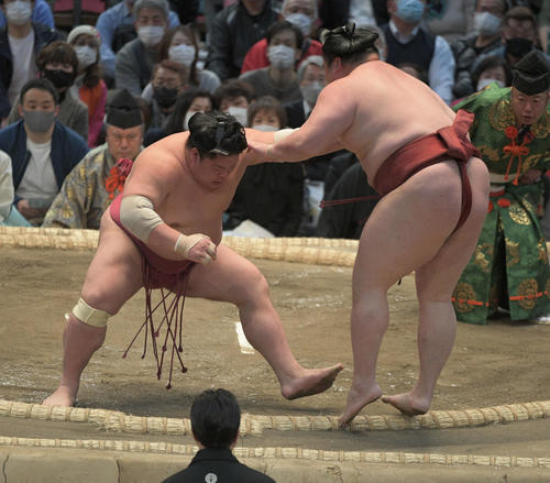 隆の勝を破る大栄翔（撮影・渦原淳）