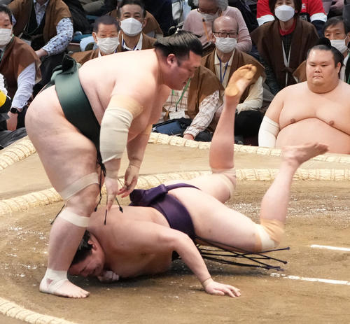 豊山（左）ははたき込みで一山本を破る（撮影・小沢裕）