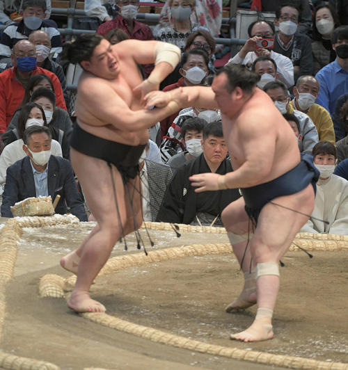 宝富士が阿炎を押し出す（撮影・渦原淳）