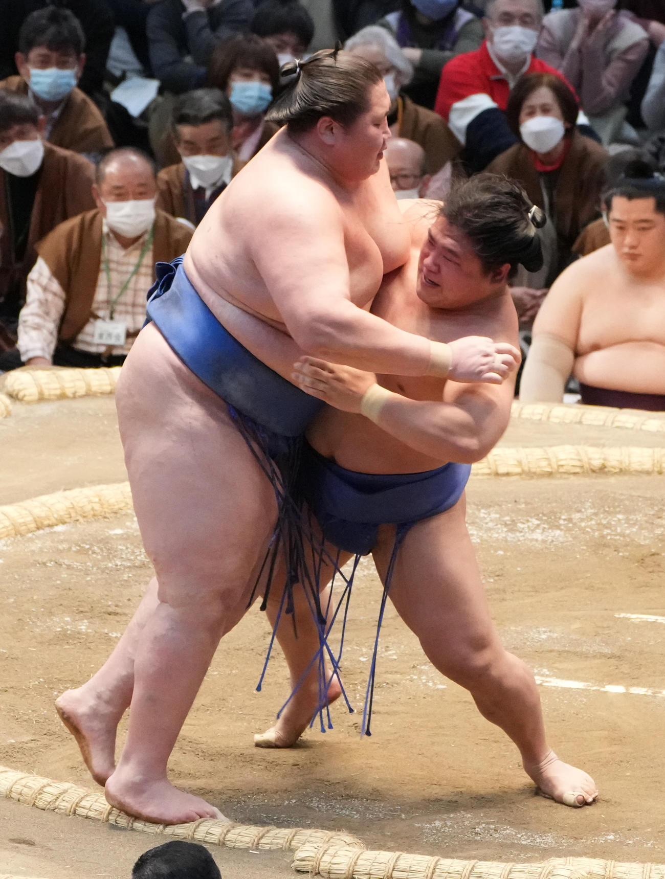 若隆景（右）は逸ノ城を寄り切りで破る（撮影・小沢裕）