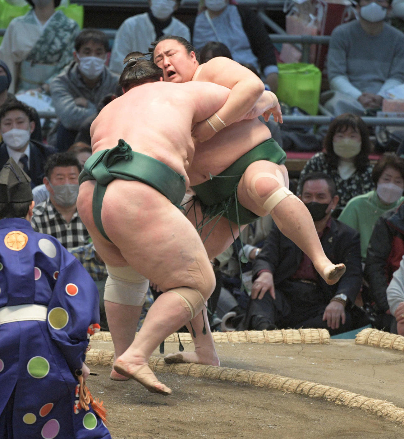 碧山が佐田の海を寄り切る（撮影・渦原淳）