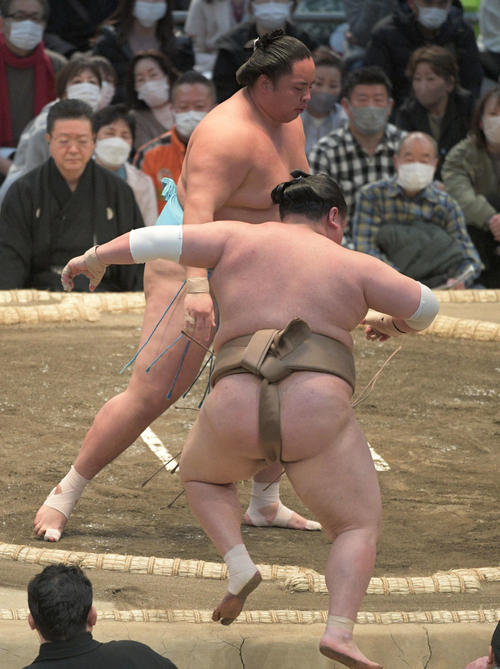 琴勝峰が荒篤山を押し出す(撮影・渦原淳)