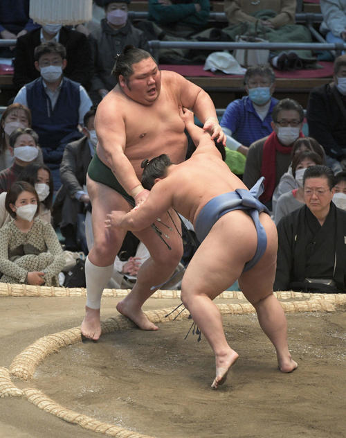 翔猿が千代大龍を押し出す(撮影・渦原淳)