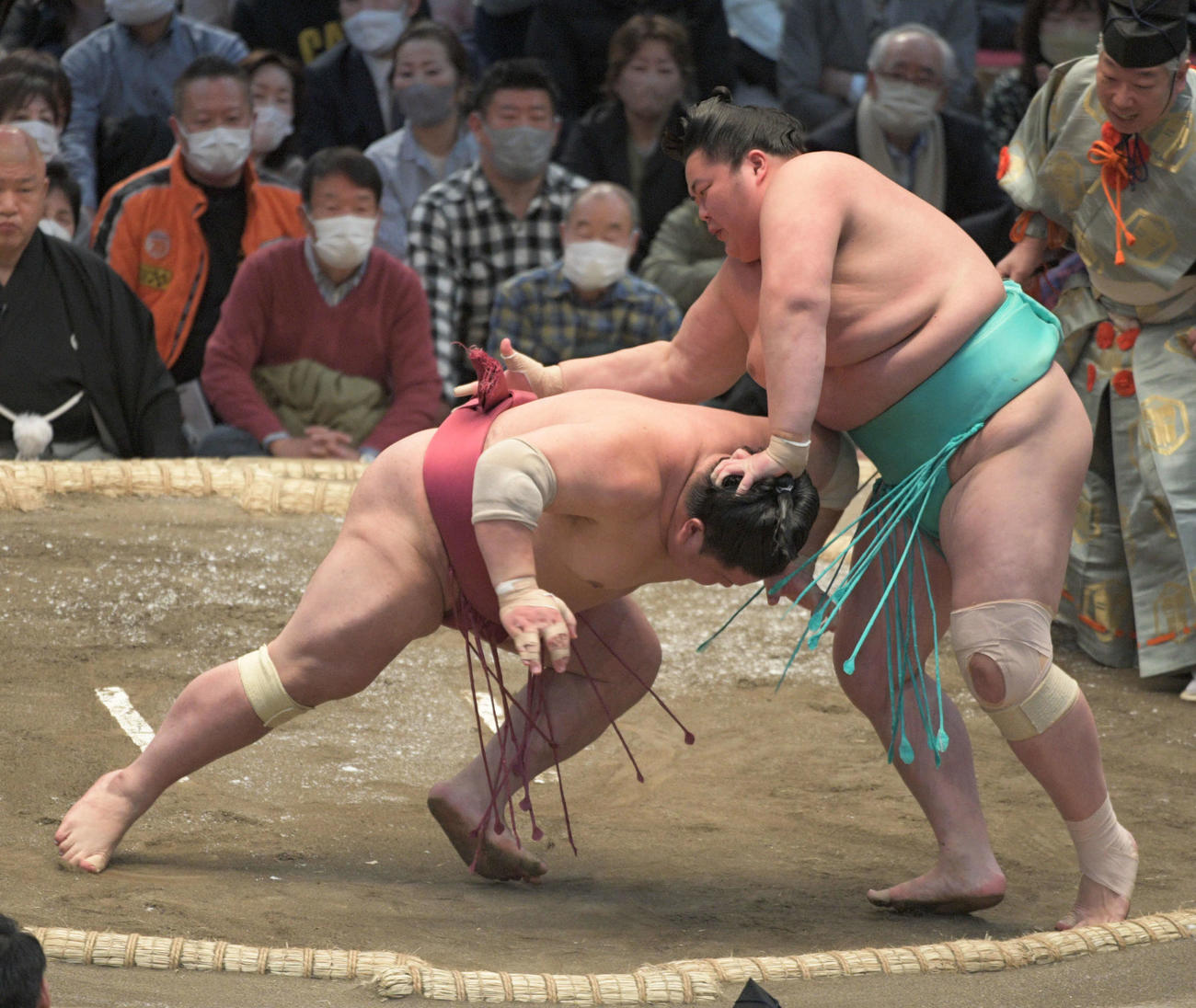 大栄翔をはたきこむ琴ノ若（撮影・渦原淳）・渦原淳）