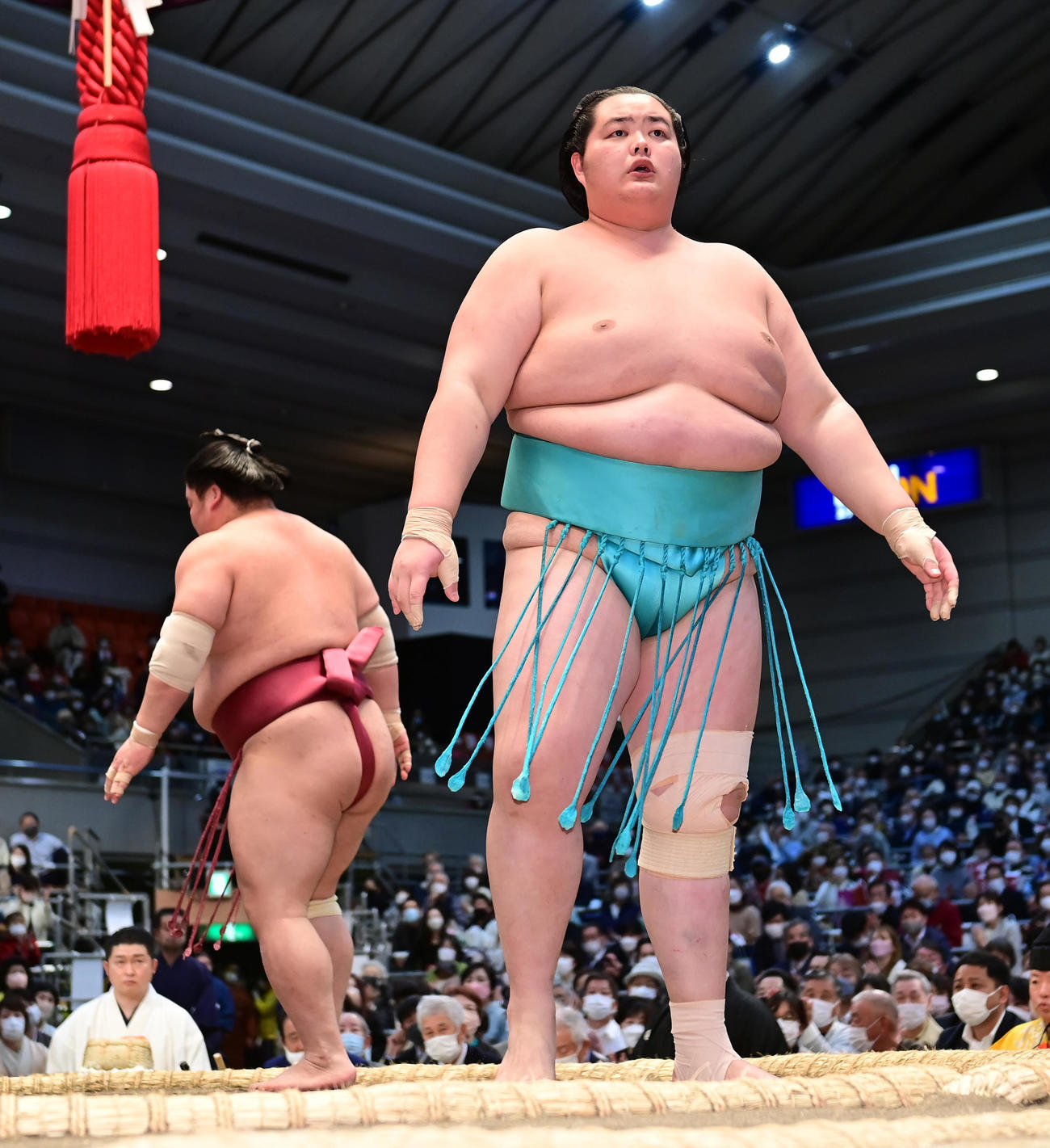 大栄翔（左）をはたき込みで破り1敗を死守した琴ノ若（撮影・小沢裕）