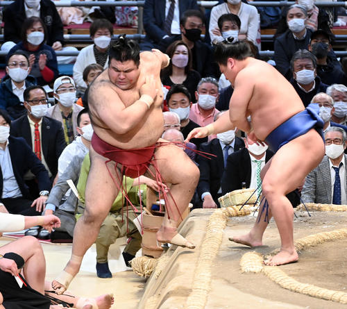 若隆景（右）は高安を寄り切りで破る（撮影・前岡正明）