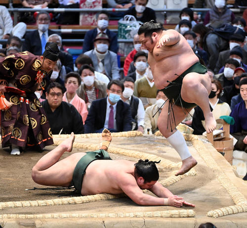 千代大龍(右)は錦木をはたき込むで破る(撮影・前岡正明)