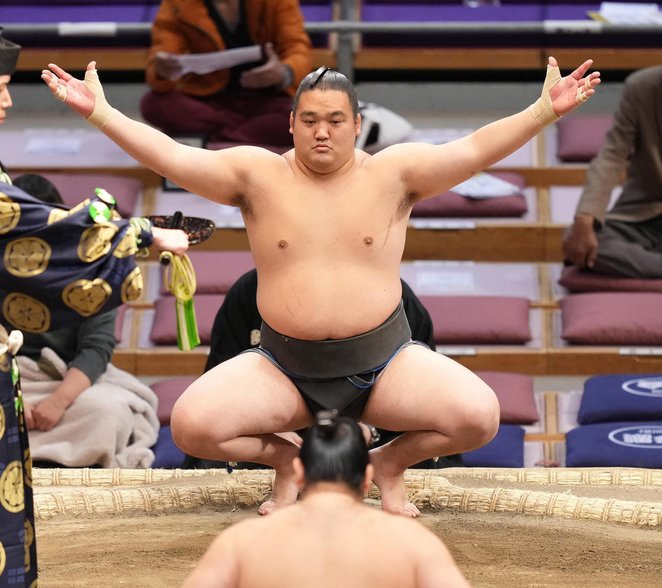 千代の海（2021年11月24日撮影）