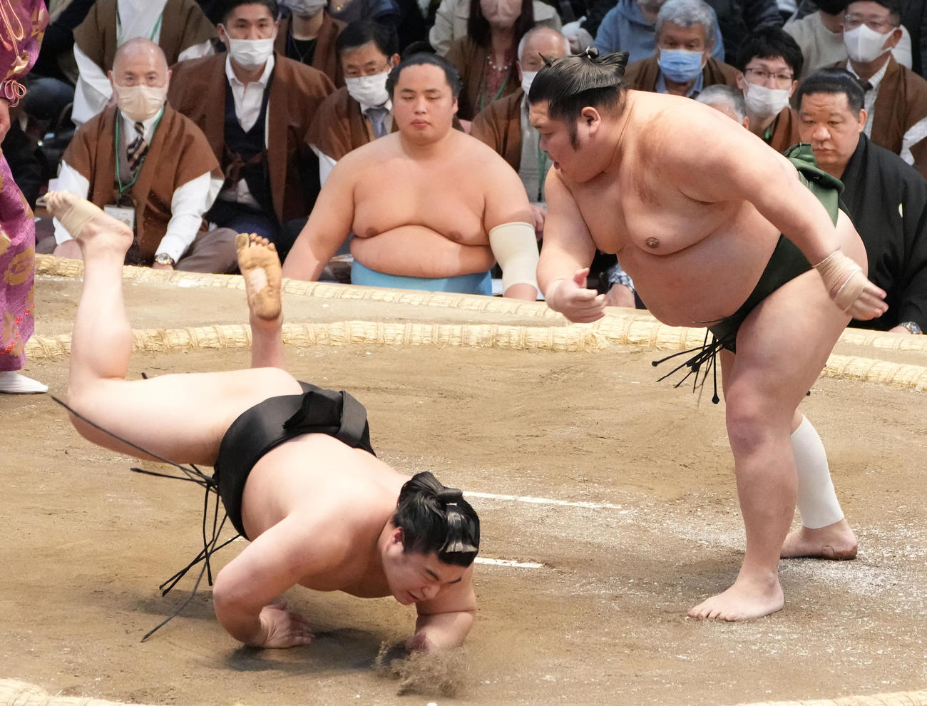 千代大龍（右）は若元春をはたき込みで破る（撮影・小沢裕）