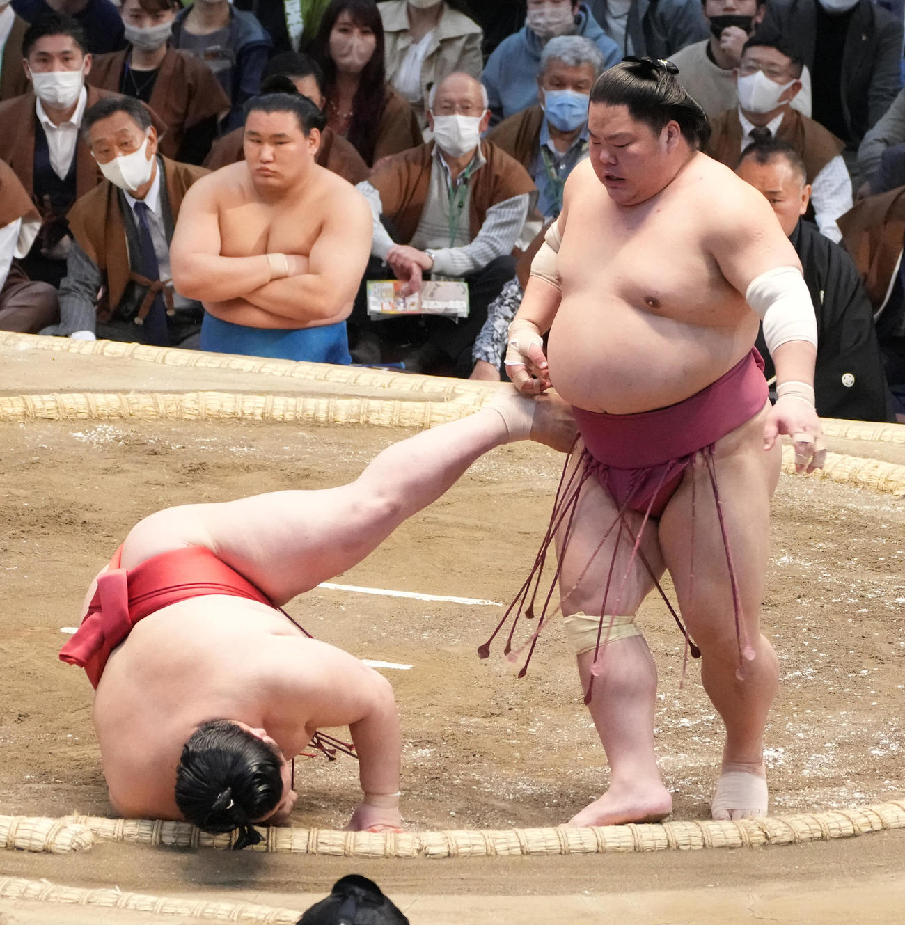 大栄翔（右）は阿武咲をはたき込みで破る（撮影・小沢裕）
