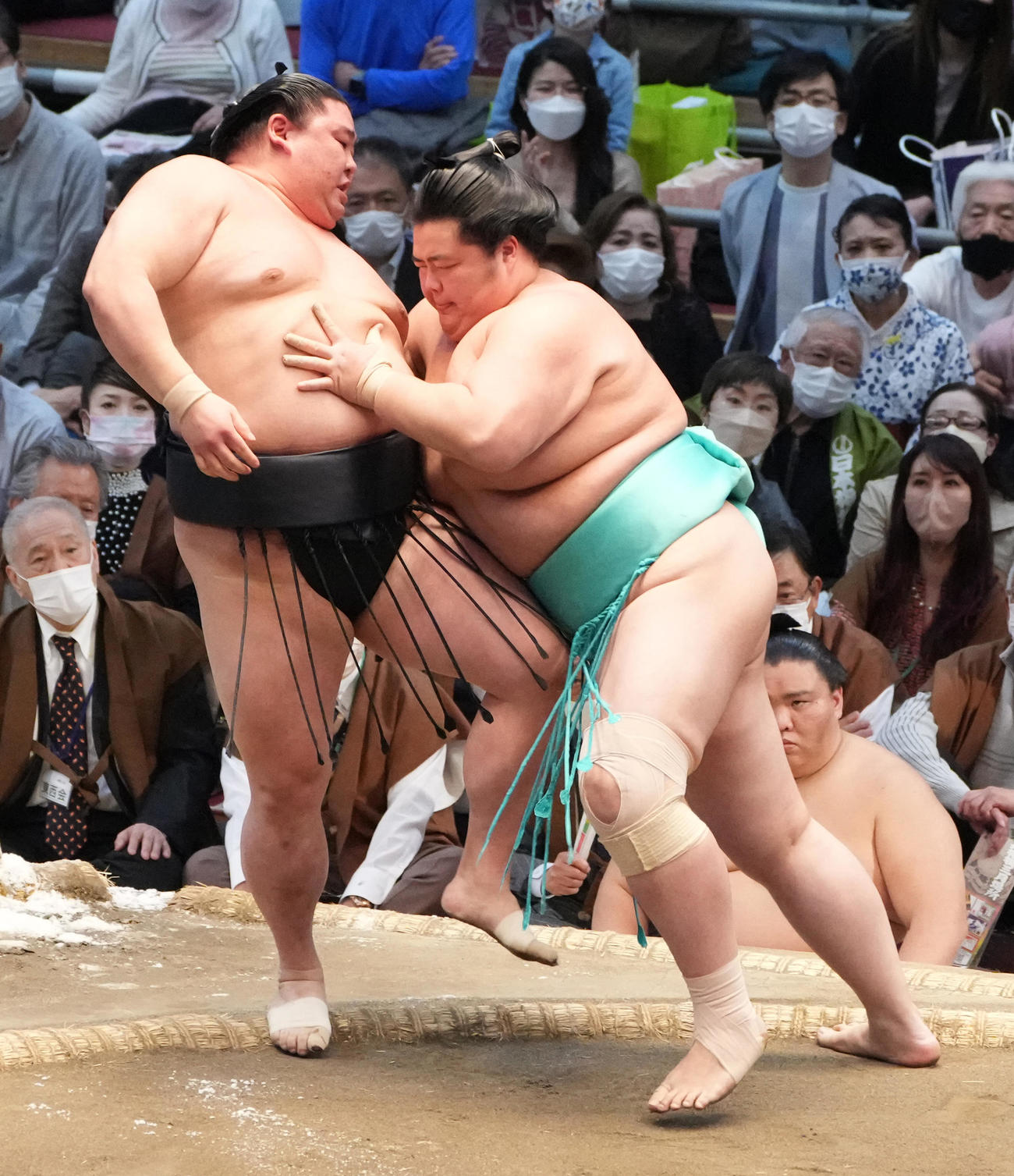 琴ノ若は正代（左）を寄り切りで破る（撮影・小沢裕）