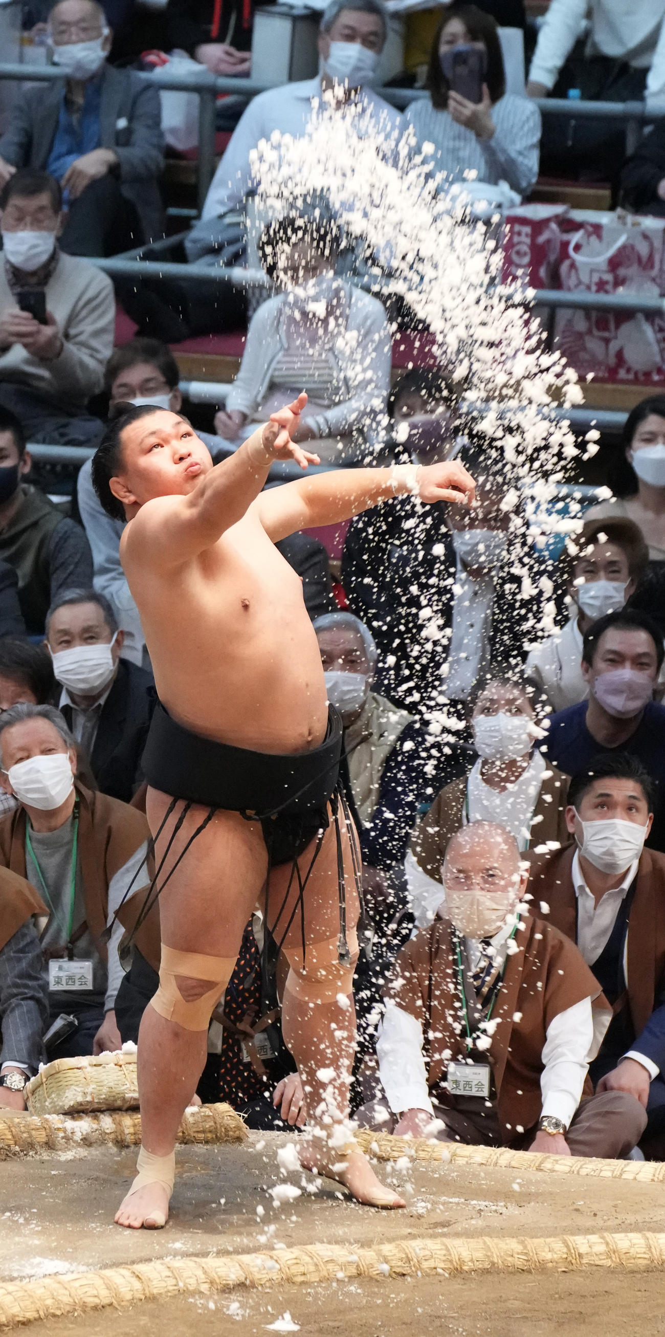 豪快に塩をまく照強（撮影・小沢裕）