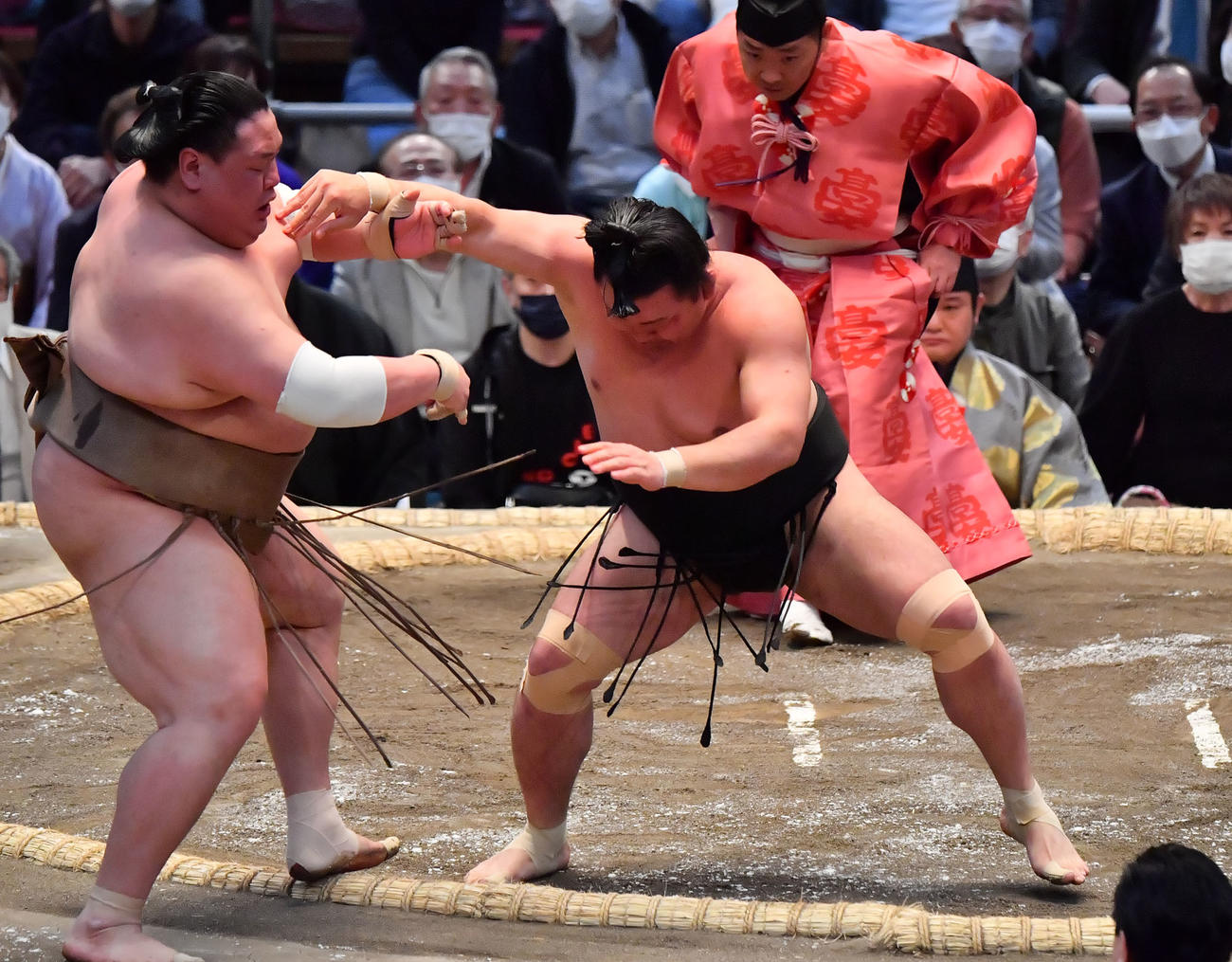 照強（右）が荒篤山を押し出しで破る（撮影・和賀正仁）