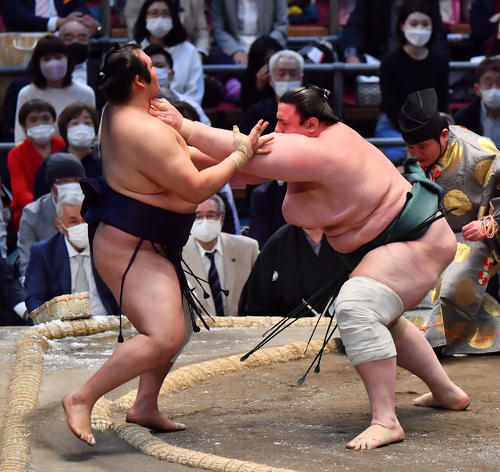 碧山（右）が突き出しで千代の国を破る（撮影・和賀正仁）