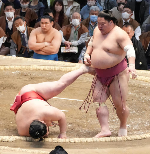 大栄翔（右）は阿武咲をはたき込みで破る（撮影・小沢裕）