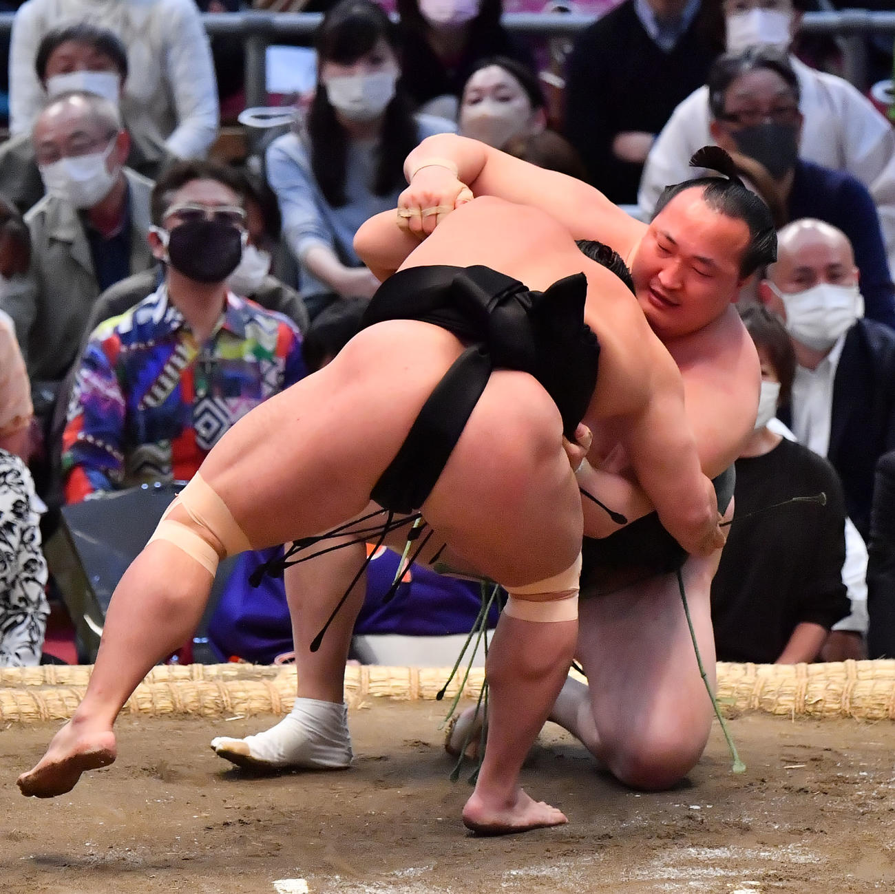 千代翔馬（左）を小股掬いで破る照強（撮影・和賀正仁）