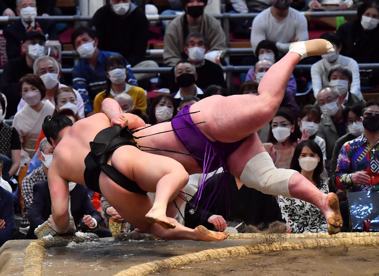 栃ノ心（右）が若元春を寄り切りで破る（撮影・和賀正仁）