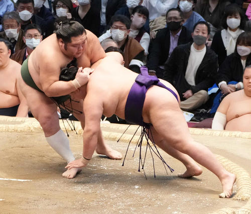 千代大龍（左）は明生をはたき込みで破る（撮影・小沢裕）