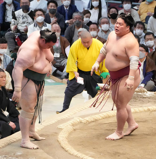 大栄翔（右）は碧山を押し出しで破る（撮影・小沢裕）