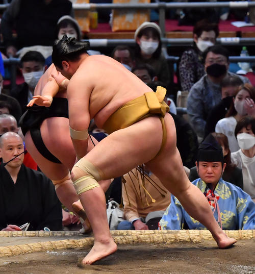 輝（右）は照強を寄り切りで破る（撮影・和賀正仁）