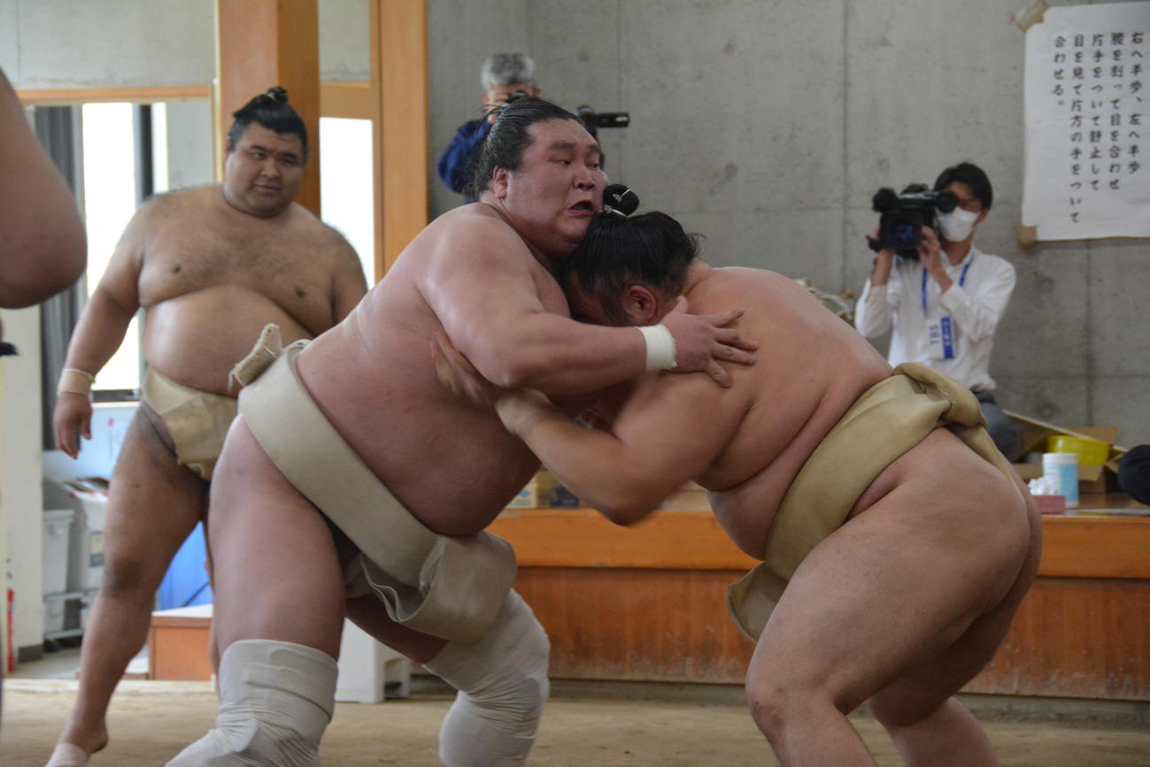 合同稽古で相撲を取る横綱照ノ富士（左）