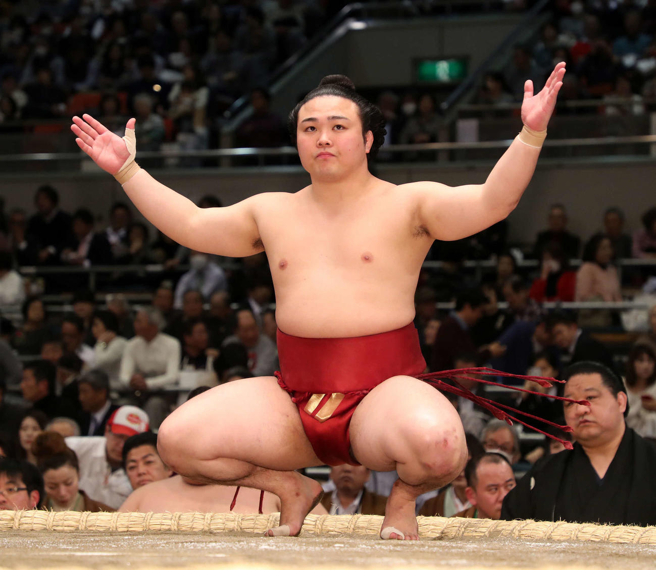 炎鵬（2019年3月12日撮影）