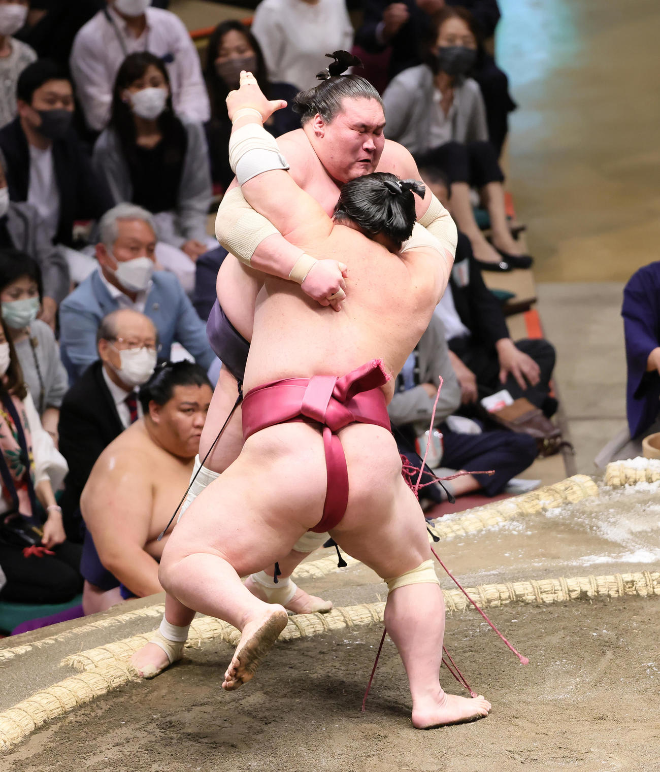 照ノ富士（後方）は大栄翔に押し出しで敗れる（撮影・足立雅史）