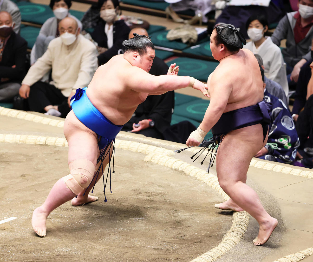 千代嵐（右）を突き出しで破る栃丸（撮影・足立雅史）
