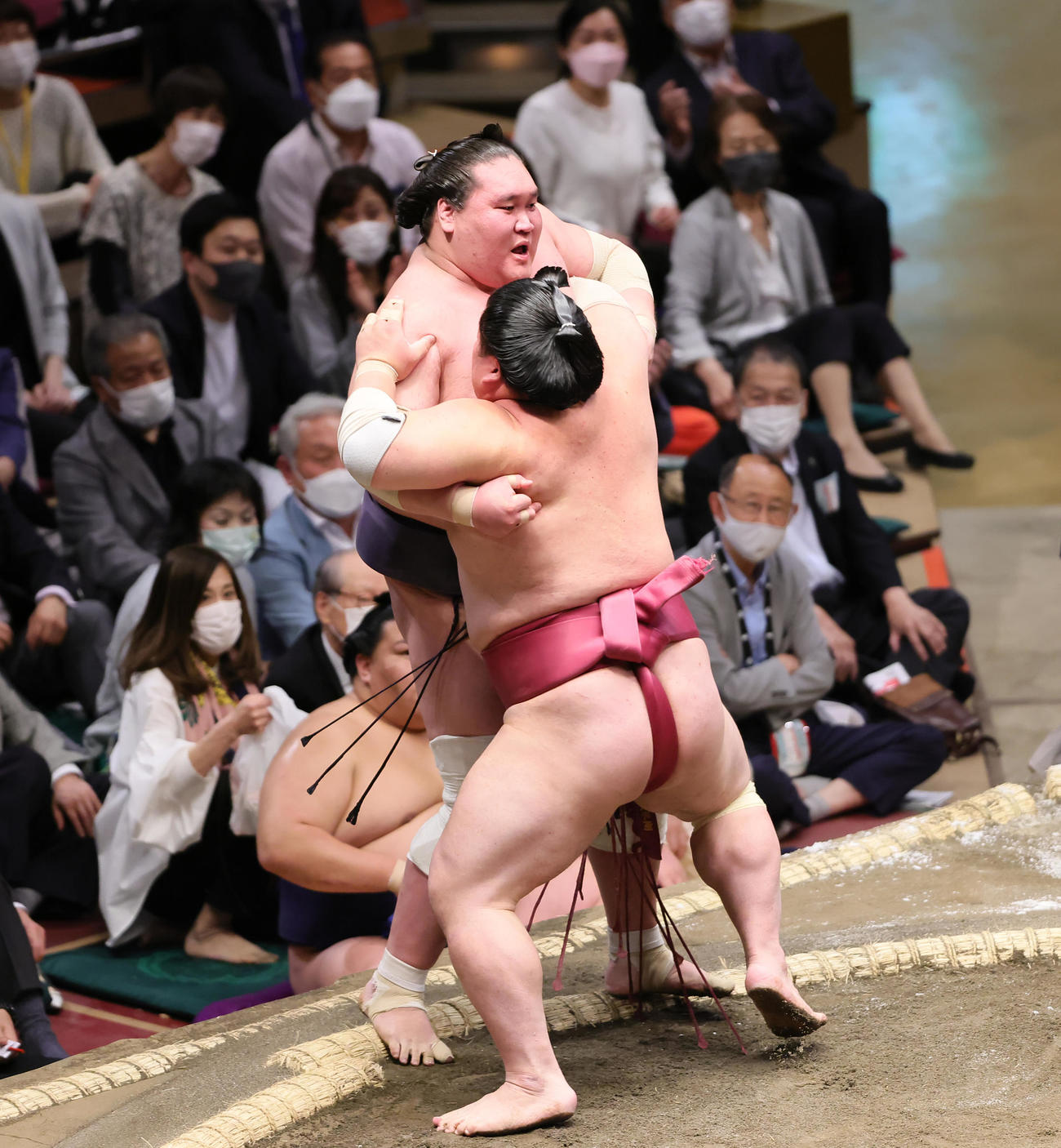 照ノ富士（後方）は大栄翔に押し出しで敗れる（撮影・足立雅史）