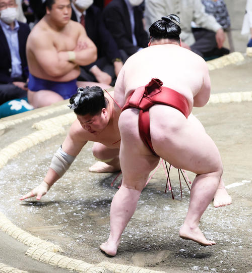 大栄翔（左）は隆の勝に突き落としで敗れる（撮影・足立雅史）