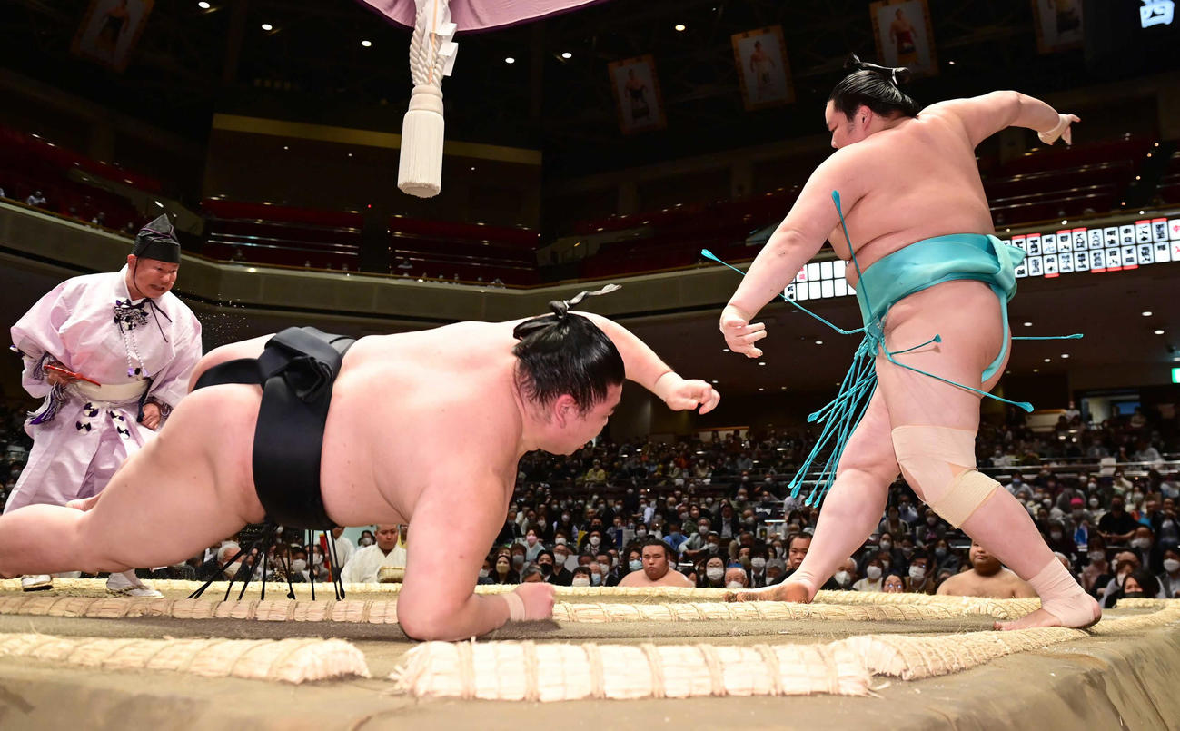 琴ノ若（右）は正代を突き落としで破る（撮影・小沢裕）